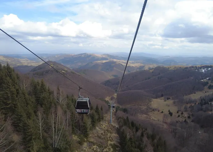 Regulus Apartment Brzece Kopaonik