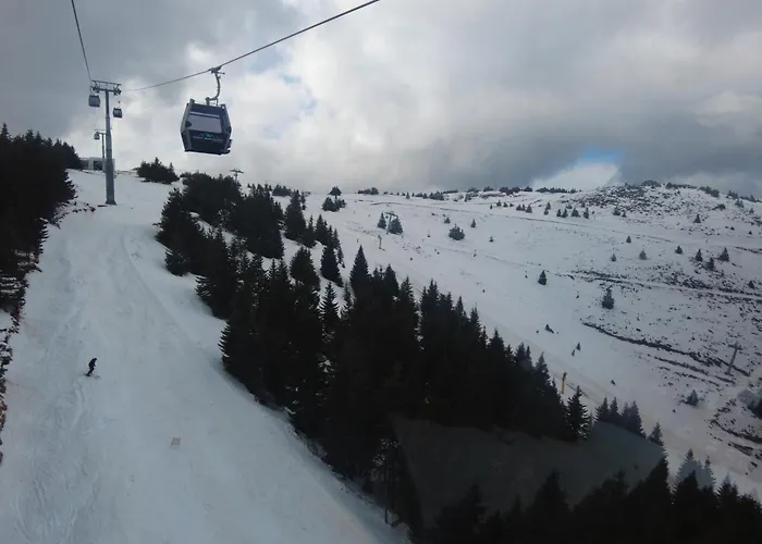 Regulus Apartment Brzece Kopaonik