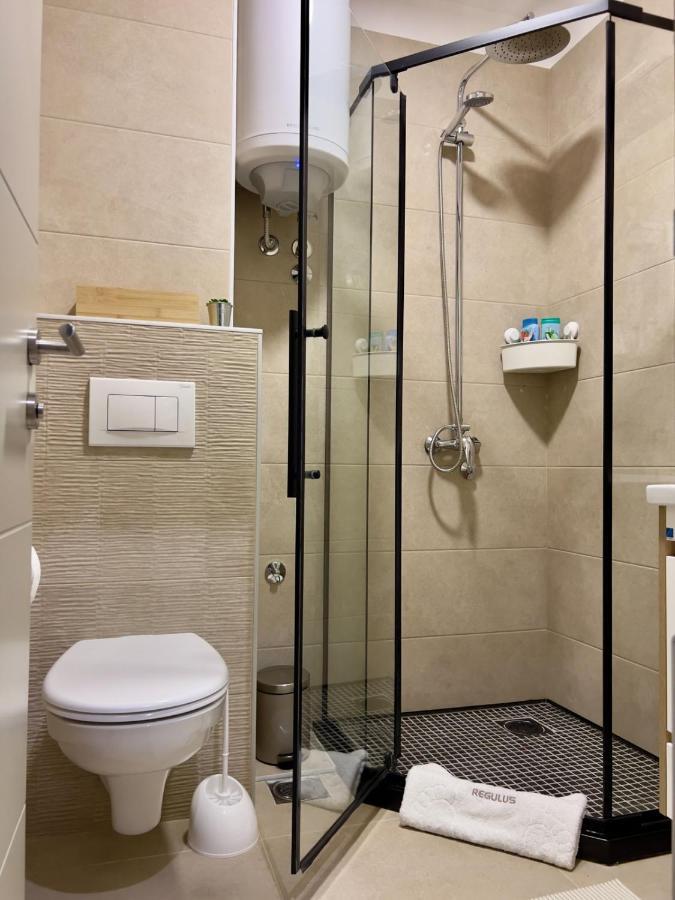 Regulus Kopaonik Brzece