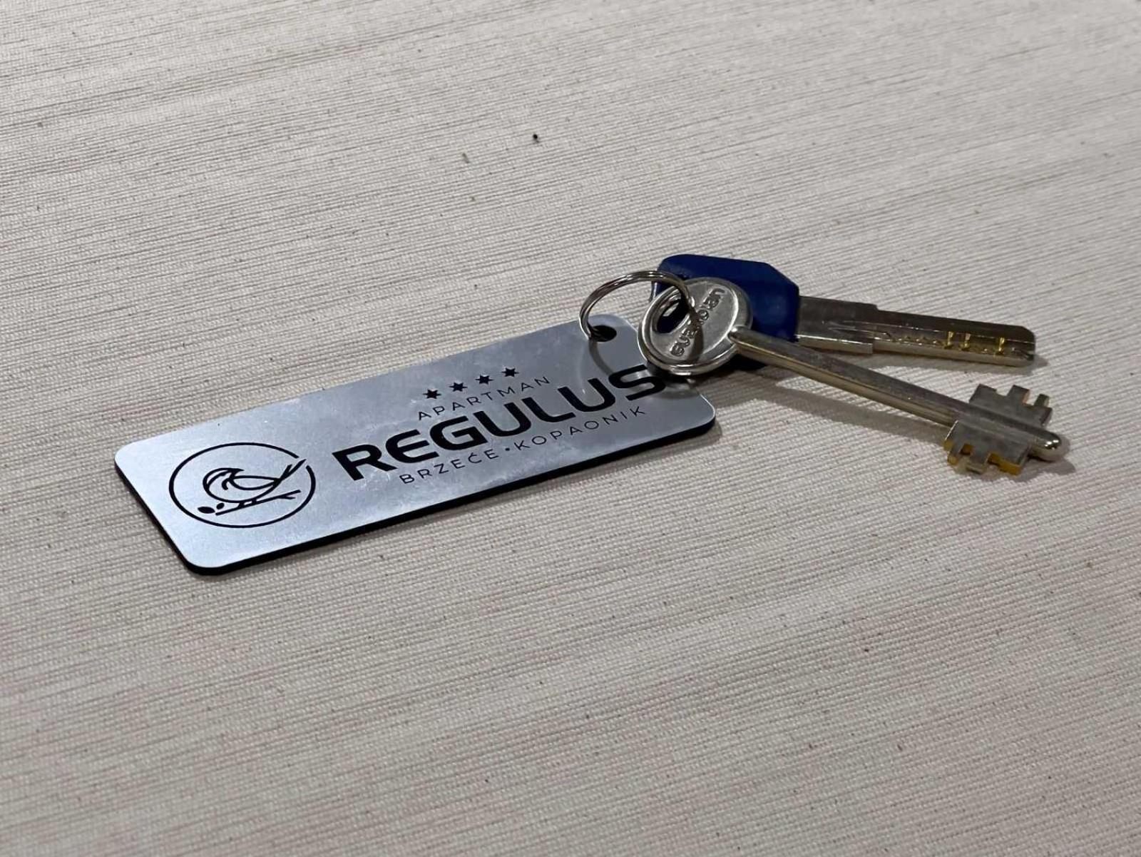 Regulus Kopaonik *